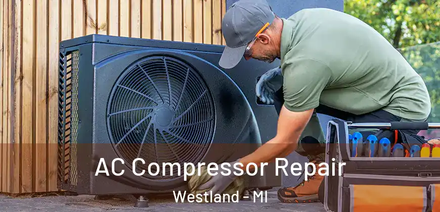 AC Compressor Repair Westland - MI