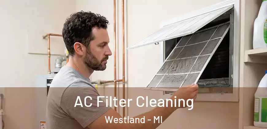 AC Filter Cleaning Westland - MI