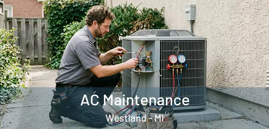AC Maintenance Westland - MI
