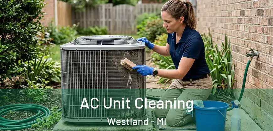 AC Unit Cleaning Westland - MI