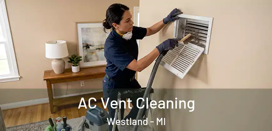 AC Vent Cleaning Westland - MI