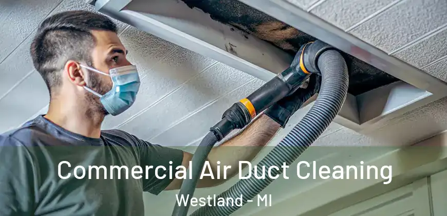Commercial Air Duct Cleaning Westland - MI