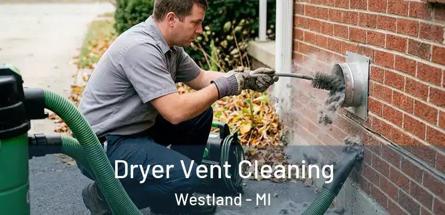 Dryer Vent Cleaning Westland - MI