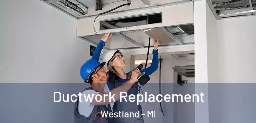  Ductwork Replacement Westland - MI