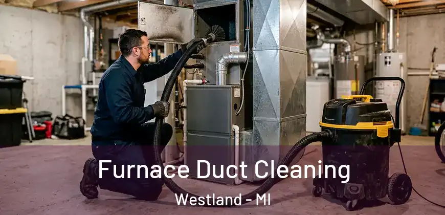 Furnace Duct Cleaning Westland - MI