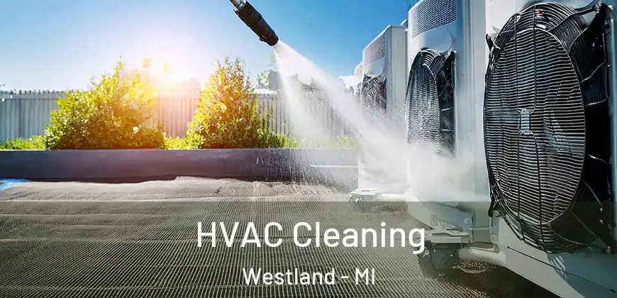 HVAC Cleaning Westland - MI