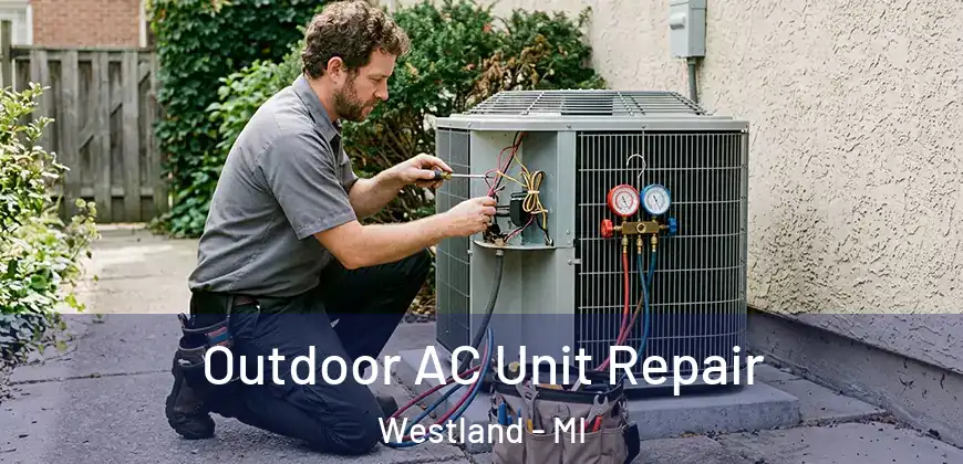 Outdoor AC Unit Repair Westland - MI